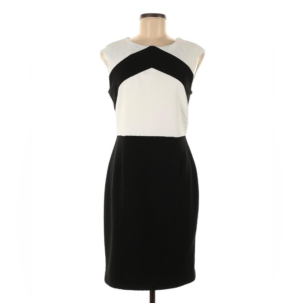 Calvin Klein Black and White Sleeveless Dress
